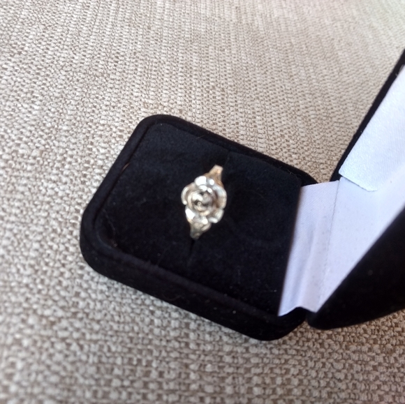 Silver Ring - Picture 2 of 4